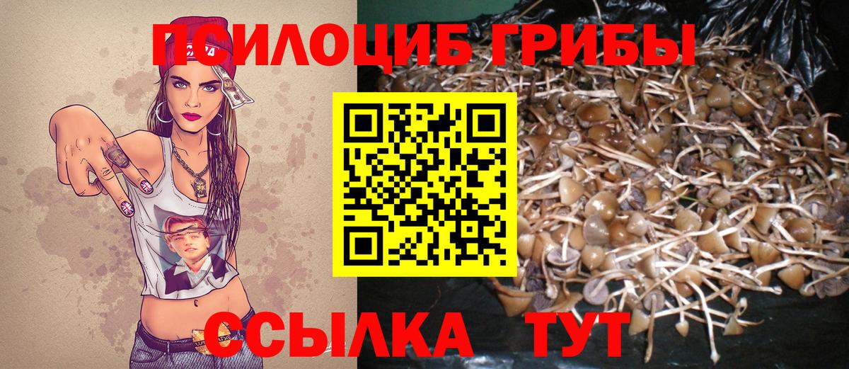 как найти закладки  Псилоцибиновые грибы Psilocybine cubensis  Галлюциногенные грибы мухоморы  Вход с VPN  Асбест 